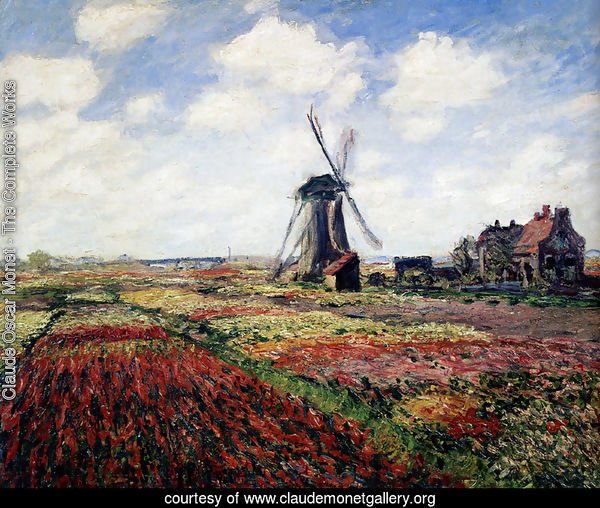 Tulip Fields With The Rijnsburg Windmill