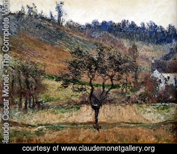 Claude Monet - The Valley Of Falaise
