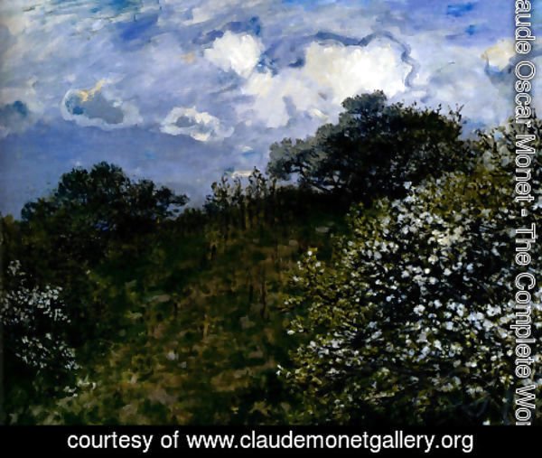 Claude Monet - Spring, 1875