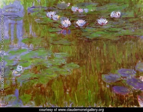 Water-Lilies 26