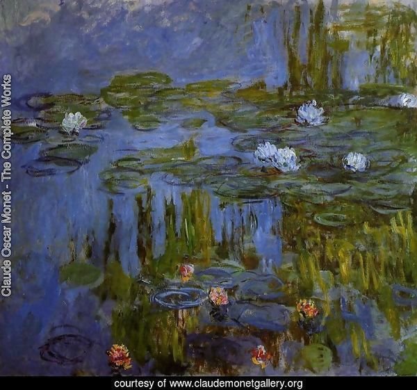 Water-Lilies 28