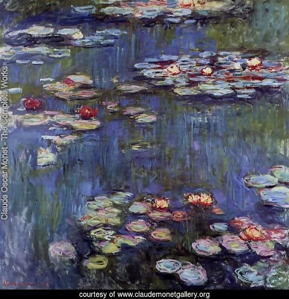 Water-Lilies 29