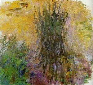 Claude Monet - Water-Lilies 34
