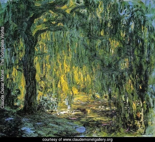 Weeping Willow II