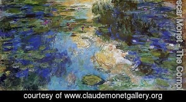 Claude Monet - The Water-Lily Pond X