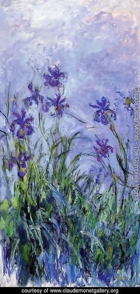 Lilac Irises 2