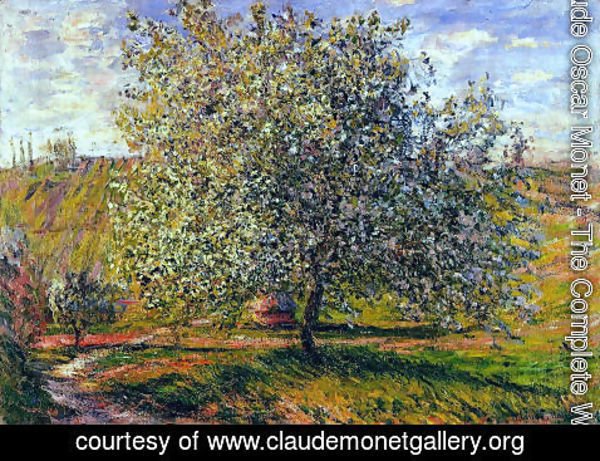 Claude Monet - Tree in Flower near Vetheuil