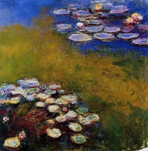 Claude Monet - Water-Lilies 46