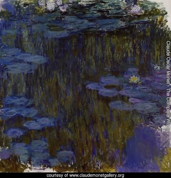 Water-Lilies 49
