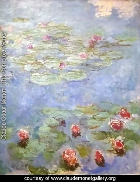 Water Lilies 44