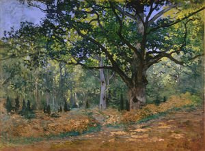 Claude Monet - The Bodmer Oak Fontainebleau Forest 1865