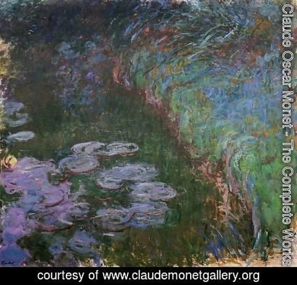 Claude Monet - Water-Lilies7 1914-1917
