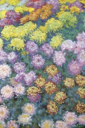 Claude Monet - Massif de chrysanthemes