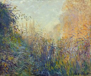 Claude Monet - Study Rushes at Argenteuil
