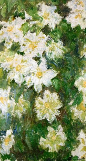Claude Monet - White Clematis