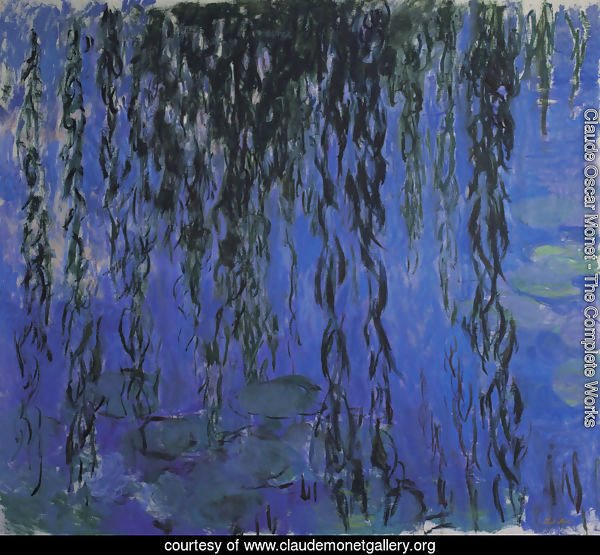 Water Lilies and Weeping Willow Branches