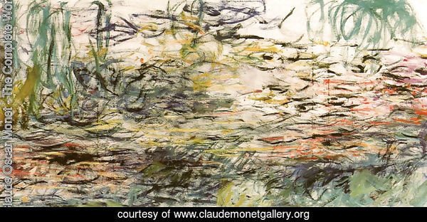 Water Lilies 52