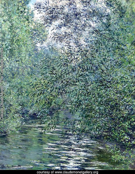 The Willows on the River