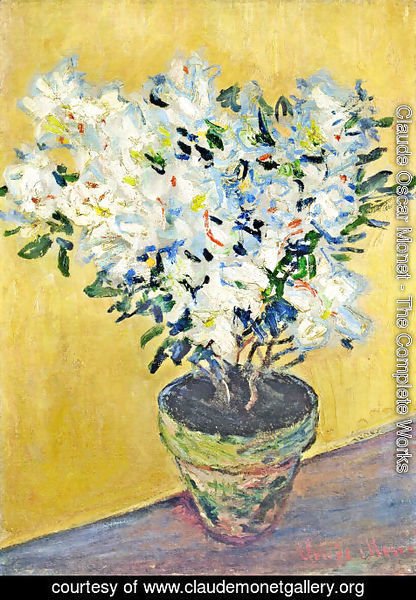 Claude Monet - White Azaleas in a Pot 2