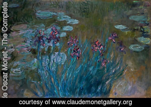 Claude Monet - Irises and Water-Lilies