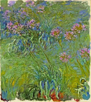 Claude Monet - Agapanathus