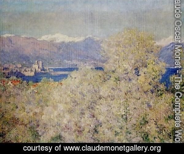 Claude Monet - Antibes   View Of The Salis Gardens