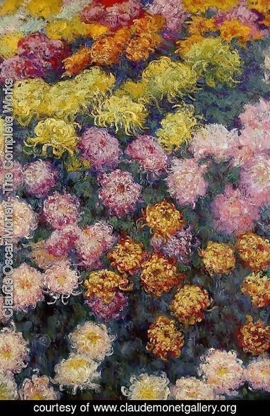 Claude Monet - Bed Of Chrysanthemums