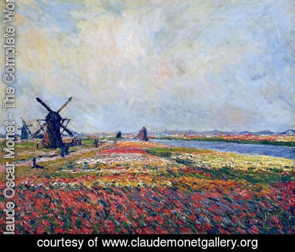 Claude Monet - Fields Of Flowers And Windmills Near Leiden