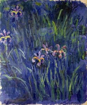 Claude Monet - Irises3