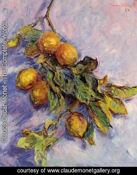 Claude Monet - Lemons On A Branch