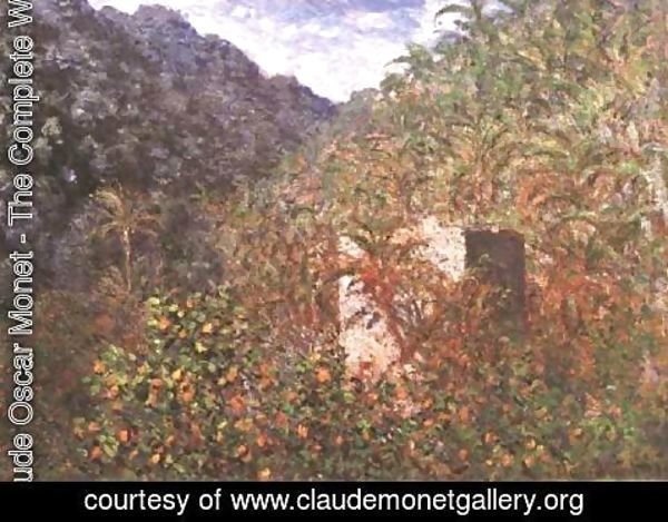 Claude Monet - Olive Trees And Palm Trees In The Valley