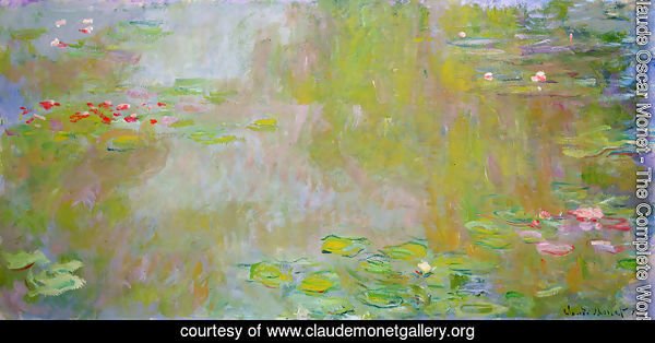 The Water Lily Pond3