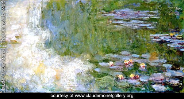 The Water Lily Pond11