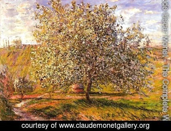 Claude Monet - Tree In Flower Near Vetheui