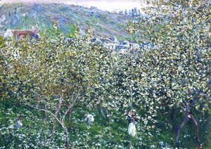 Vetheuil  Flowering Plum Trees