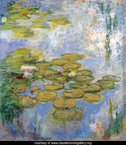 Water Lilies13