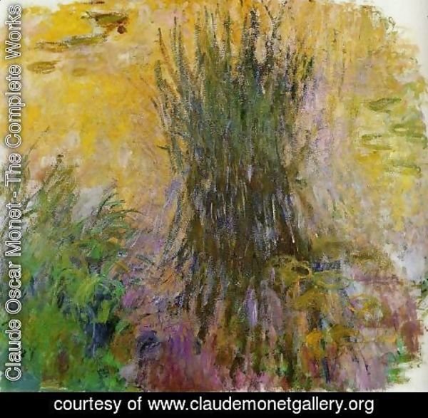 Claude Monet - Water Lilies20