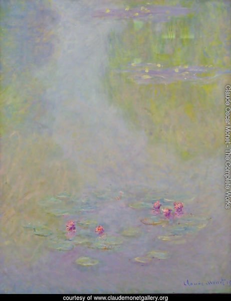 Water Lilies22
