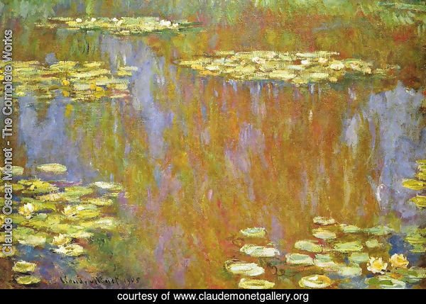 Water Lilies25