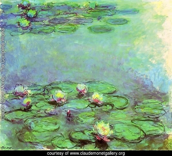 Water Lilies26