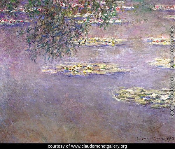 Water Lilies28