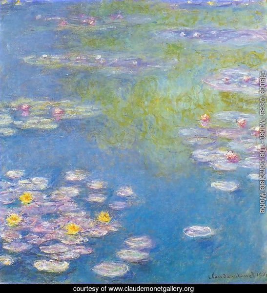 Water Lilies32