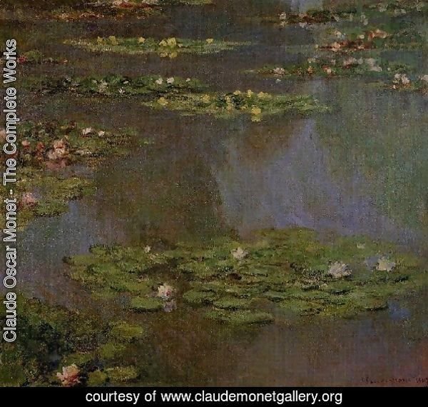 Water Lilies36
