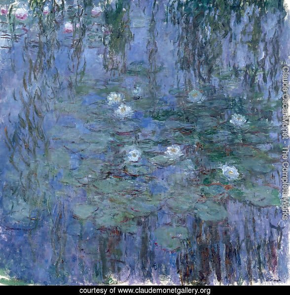 Water Lilies42
