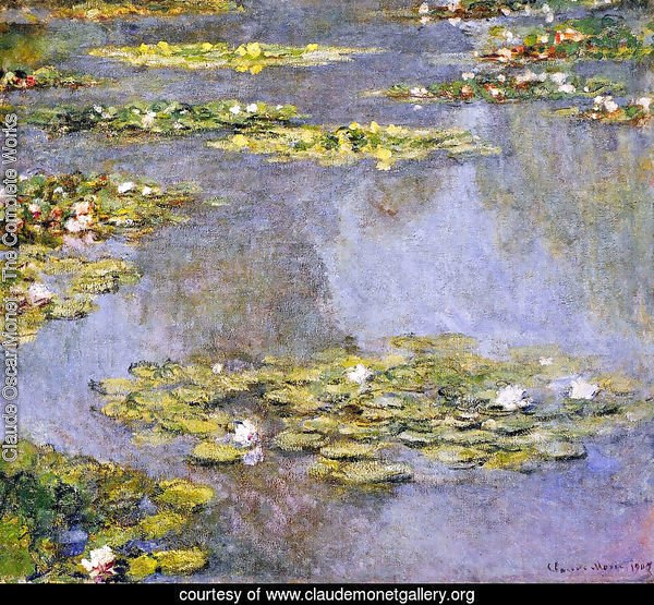 Water Lilies52