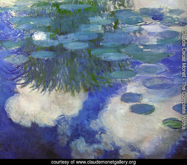Water Lilies53