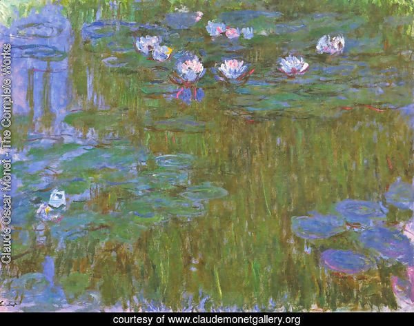 Water Lilies54