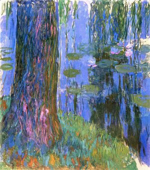 Weeping Willow And Water Lily Pond2