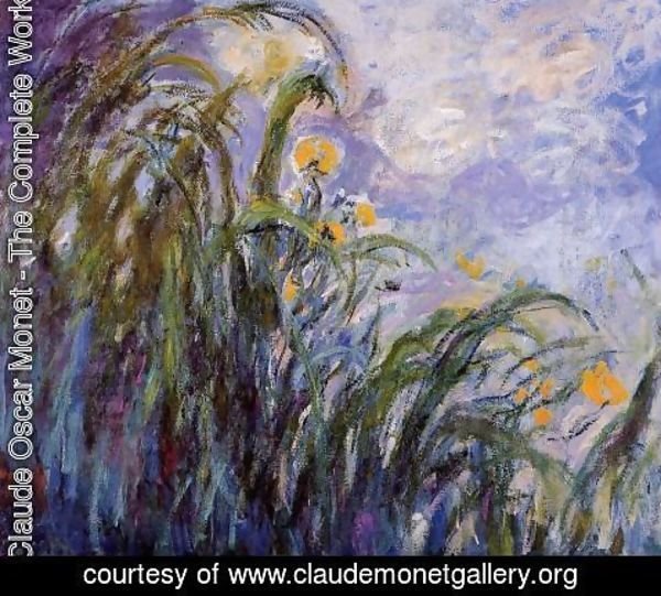 Claude Monet - Yellow Irises3