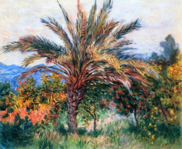 A Palm Tree At Bordighera by Oscar-Claude Monet